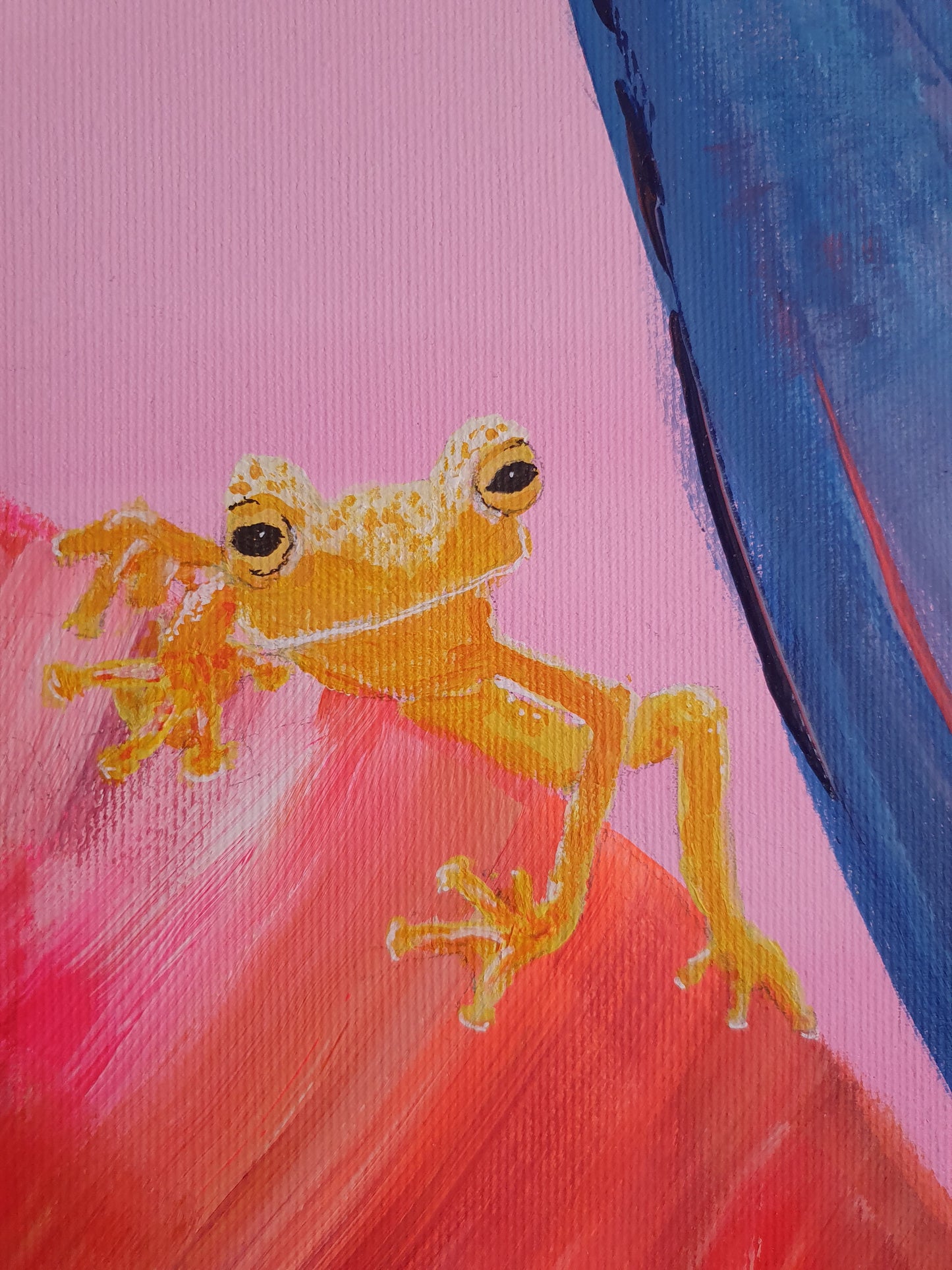 FRIDA